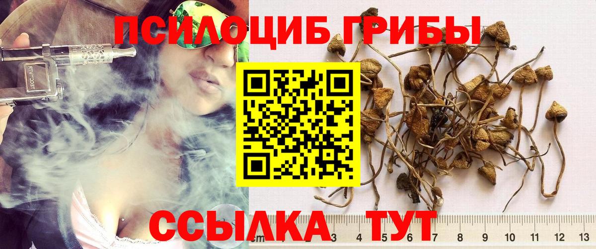 Псилоцибиновые грибы мухоморы Сафоново