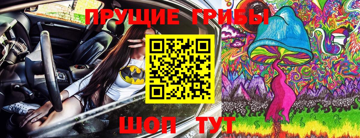 Галлюциногенные грибы Cubensis  Галлюциногенные грибы GOLDEN TEACHER  Сафоново  где купить наркоту  Вход с VPN 